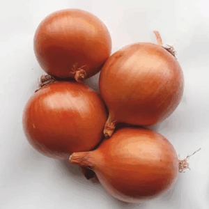 Cebolla Valenciana