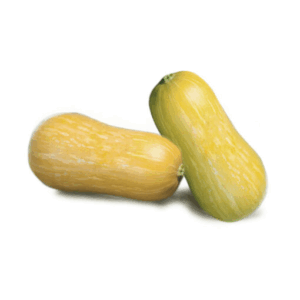 Zapallo Calabaza Coquena